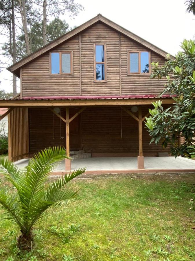 Green Cottage Shekvetili ウレキ エクステリア 写真
