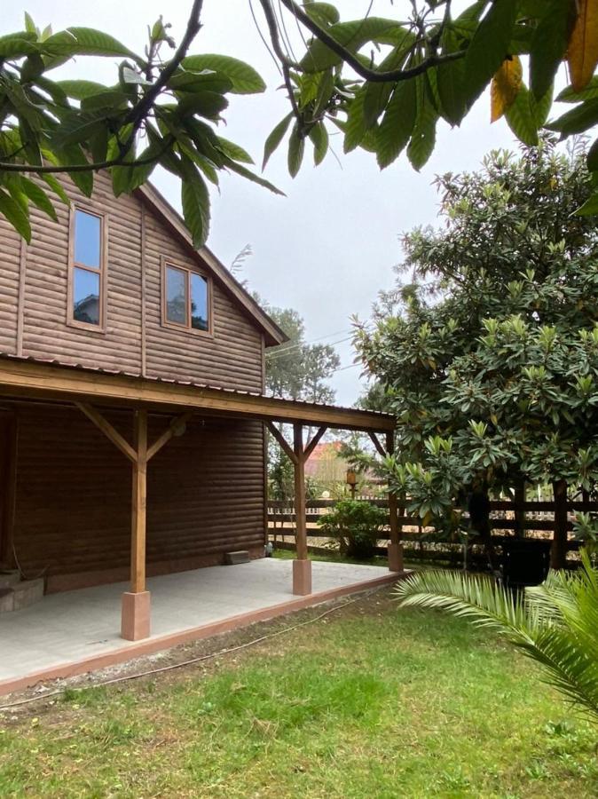 Green Cottage Shekvetili ウレキ エクステリア 写真