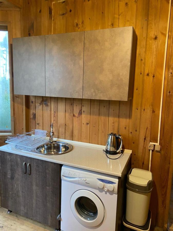 Green Cottage Shekvetili ウレキ エクステリア 写真
