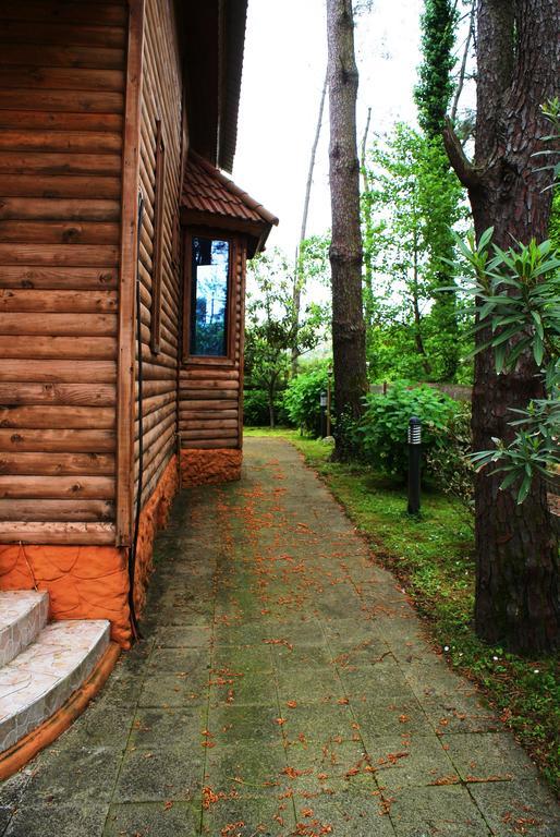 Green Cottage Shekvetili ウレキ エクステリア 写真
