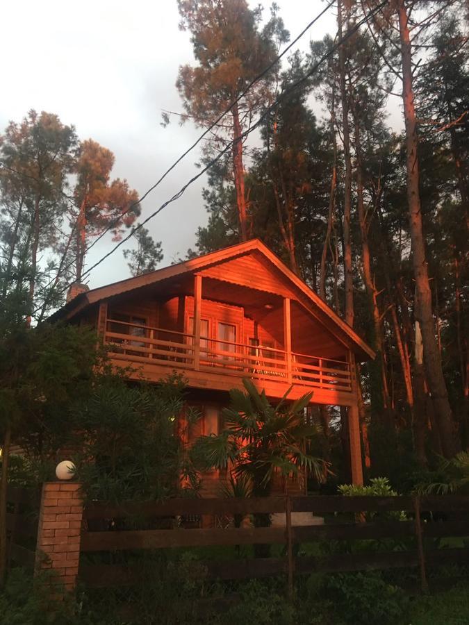 Green Cottage Shekvetili ウレキ エクステリア 写真